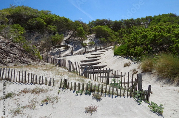 Obraz scalini selvaggi