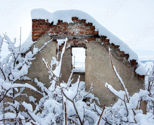 Fototapeta Winter walk into forest 