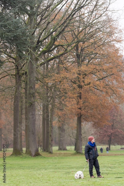 Obraz A standing man and small dog are walking in an open wood in fall.
