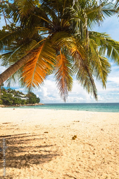 Obraz Tropikalny krajobraz ujęcie plaży z palmami i oceanem.
