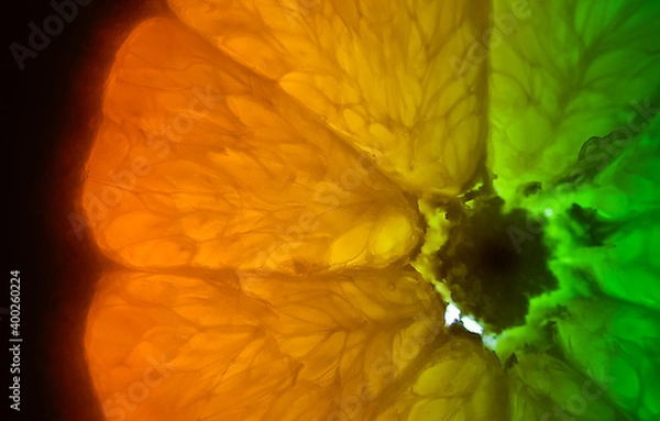 Obraz Orange Makro IV