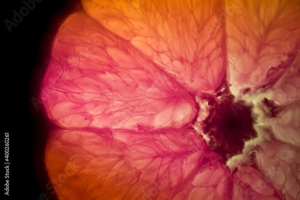 Obraz Orange Makro III