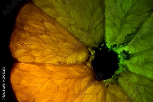 Obraz Orange Makro II