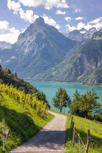 Fototapeta sunny day in Sisikon at Lake Uri in the Swiss Alps