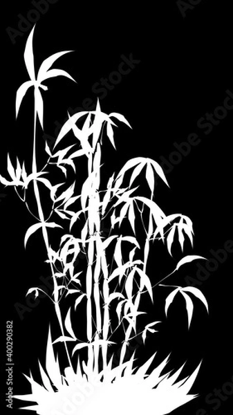 Obraz palm tree silhouette