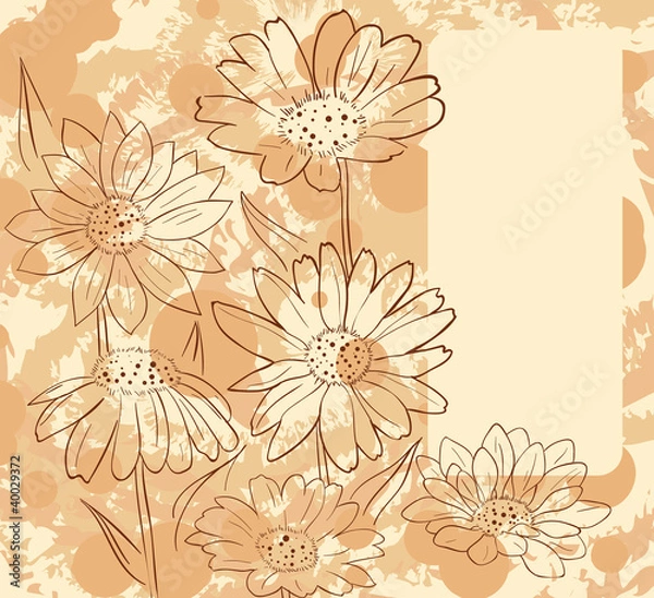 Obraz Frame with daisies