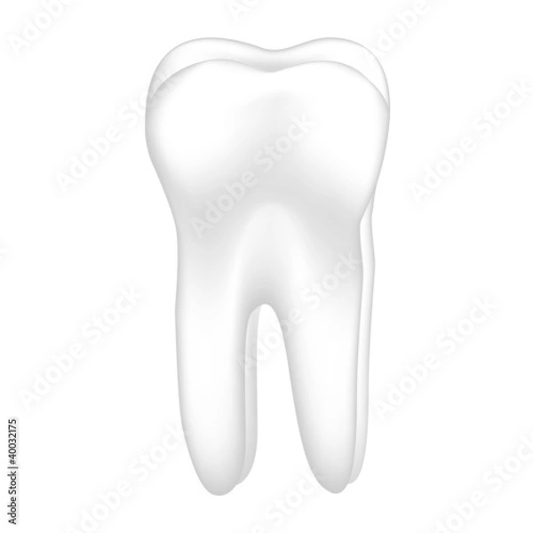 Fototapeta tooth vector illustration