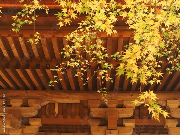 Obraz 五重塔と紅葉の風景