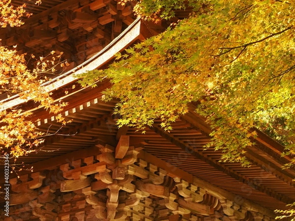 Fototapeta 五重塔と紅葉の風景