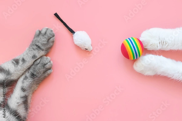 Fototapeta White and gray cat paws with ball and mice. Pink background, copy space, top view. Concept of games and entertainment for pets.