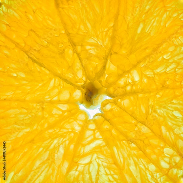 Fototapeta Close-up of an orange slice isolated on a white background.