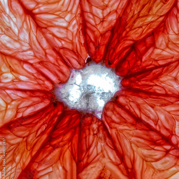 Fototapeta Close-up of a pink grapefruit slice isolated on a white background.