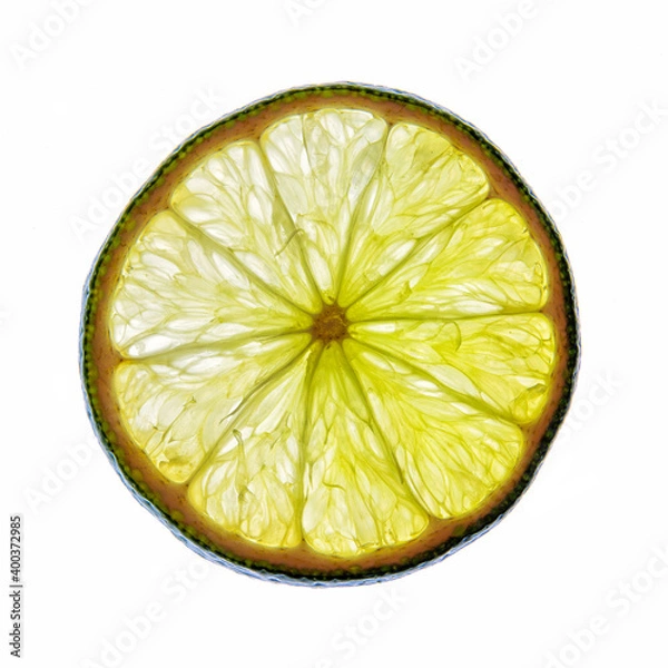 Fototapeta Green lime slice isolated on a white background.