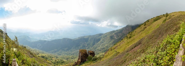 Fototapeta Mountain forest