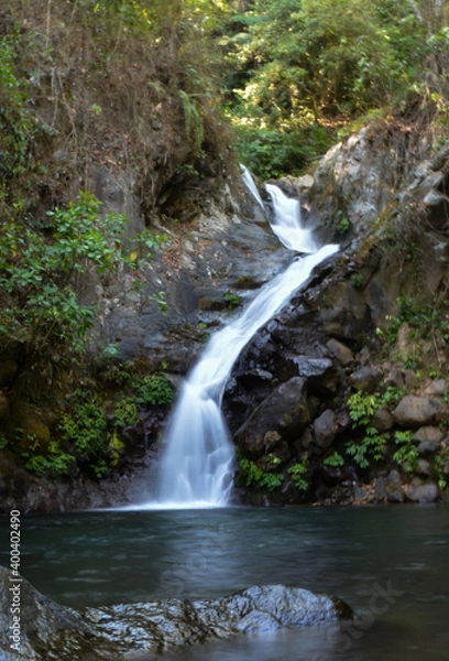 Fototapeta waterfall in the forest