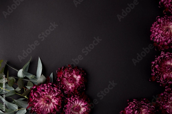 Obraz a burgundy chrysanthemum bud on a black background. space for text.  flat lay. top view. 