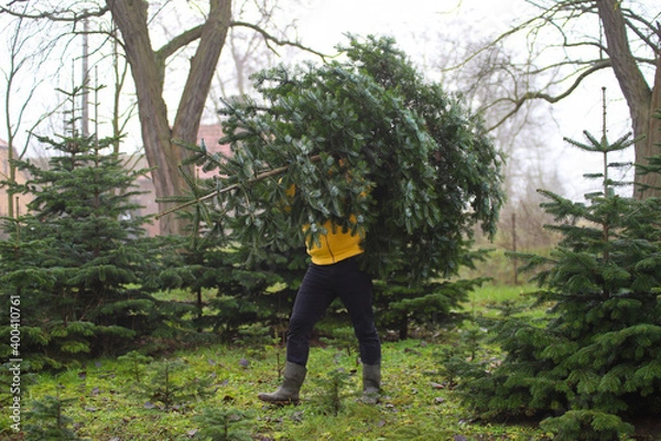 Obraz Ein Mann fällt einen Weihnachtsbaum