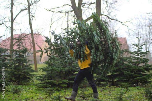 Obraz Ein Mann trägt einen Weihnachtsbaum