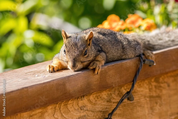 Fototapeta Rest Break
