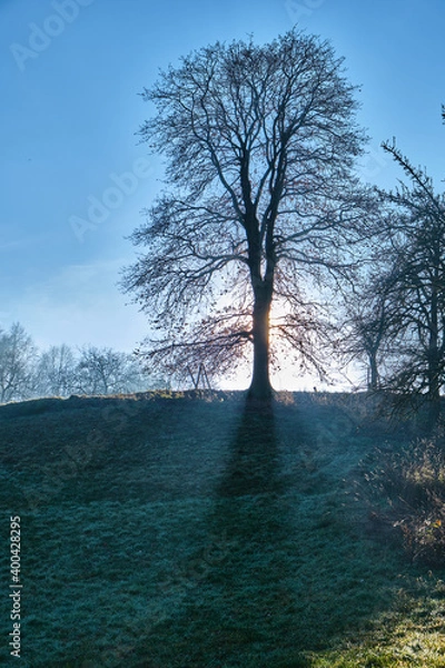 Obraz Nebellandschaften an der Bergstraße.