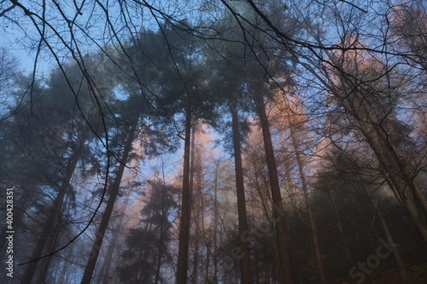 Obraz Nebellandschaften an der Bergstraße.