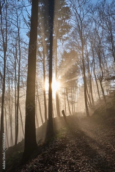 Obraz Nebellandschaften an der Bergstraße.