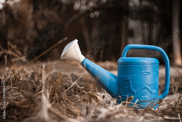 Obraz Blue watering can in the garden