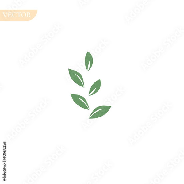 Fototapeta Green and black olive vector floral seamless pattern on the white background.