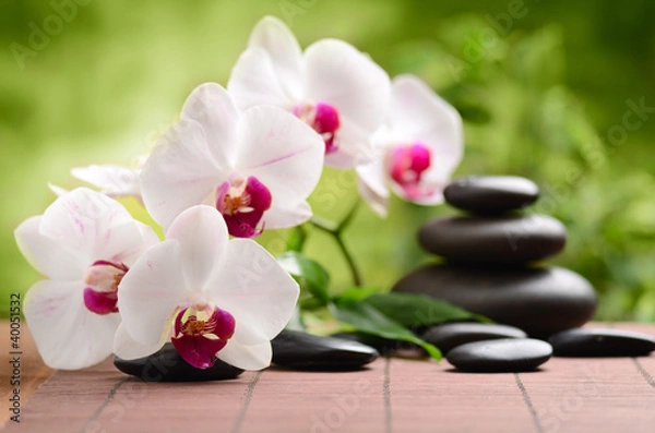 Fototapeta spa concept