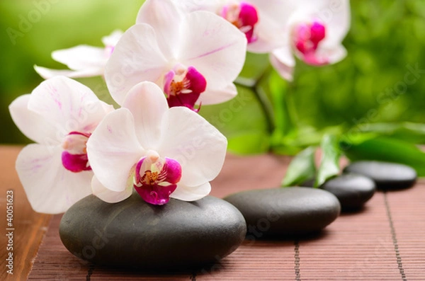 Fototapeta spa concept