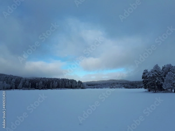 Fototapeta landscape with a view of snow-covered trees - Oslo