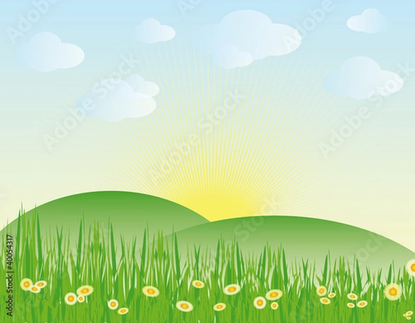 Fototapeta spring landscape