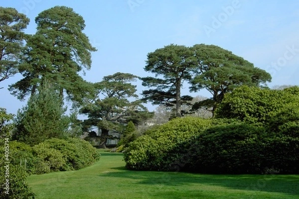 Obraz Muckross Gardens