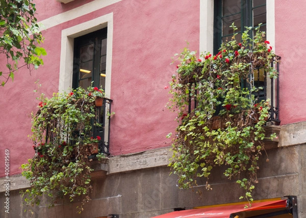 Obraz Flowered balconies in the street