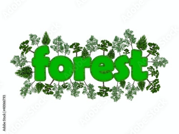 Fototapeta Forest