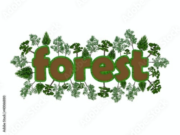 Fototapeta Forest