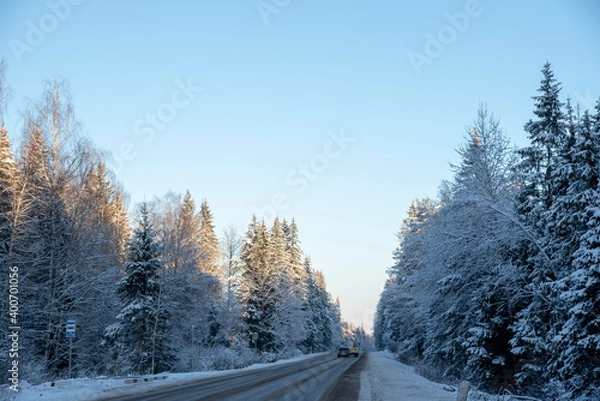 Fototapeta Car paved road in the middle of a snow-covered forest under a bright blue sky.