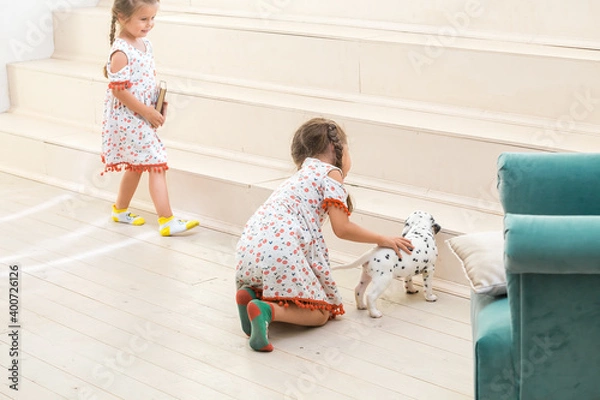 Fototapeta Two little girls playing with a dalmatian puppy on a light floor