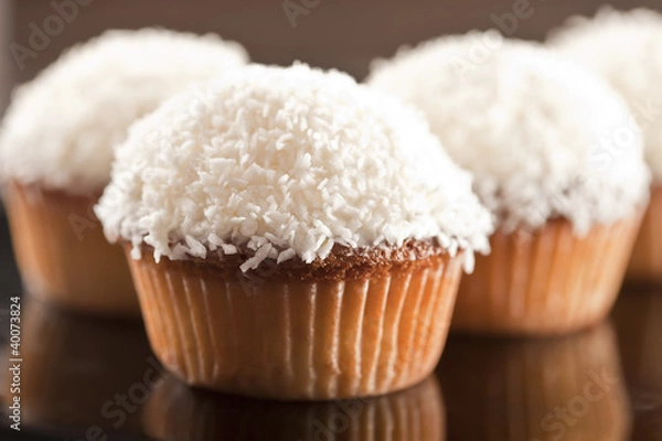 Obraz Coconut cupcake