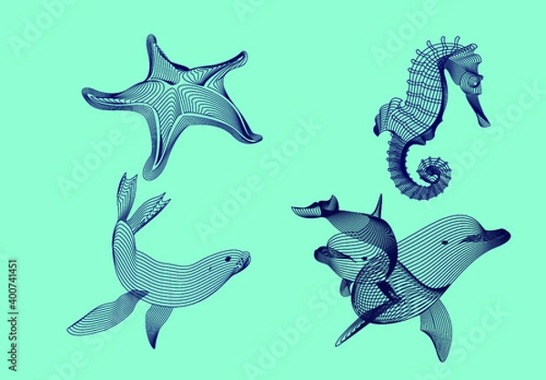 Obraz Set marine graphic animals. Vector illustration. The starfish, sea horse,  dolphin, seal consist of lines.Digital elements design  for business cards, invitations, gift cards, flyers and brochures 