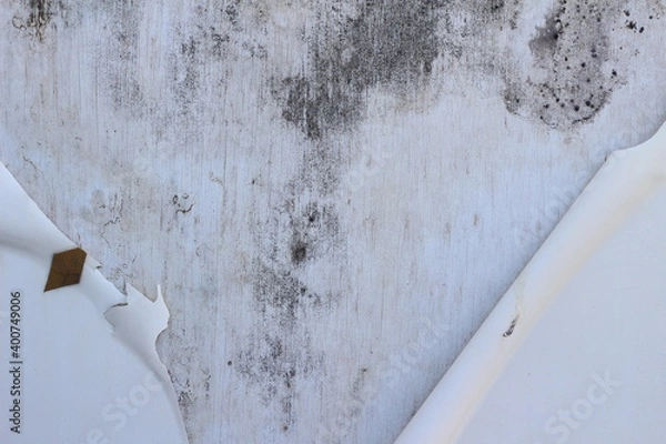 Obraz old wood texture background, copy space.