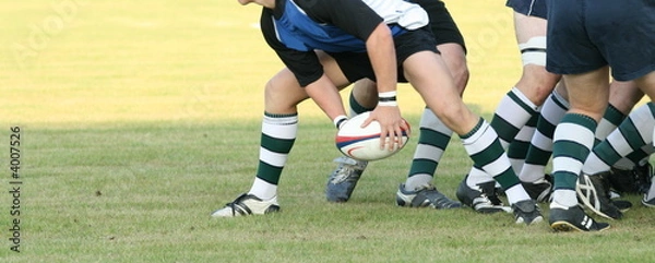 Obraz rugby