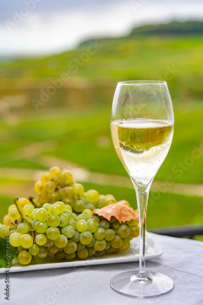 Fototapeta Tasting of french sparkling white wine with bubbles champagne on outdoor terrace with view on grand cru Champagne vineyards in Cramant, near Epernay, France