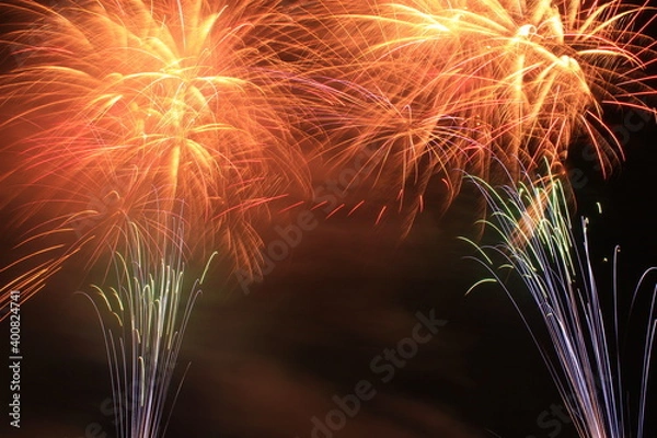 Obraz 向日葵の光