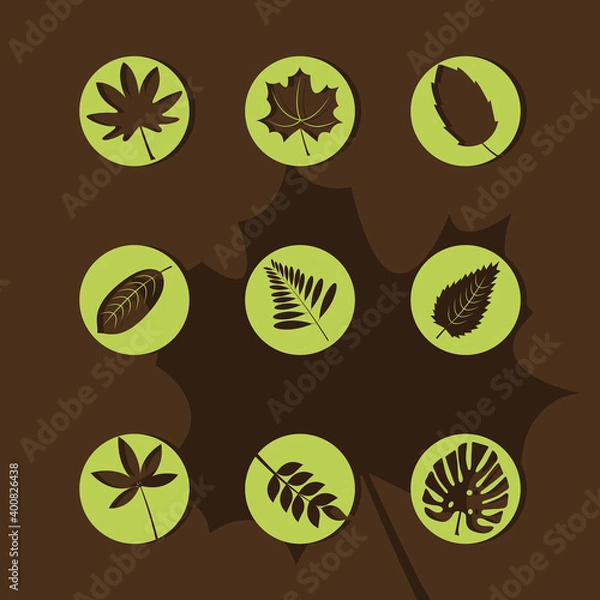 Fototapeta bundle of nine leafs plants silhouette style icons vector illustration design
