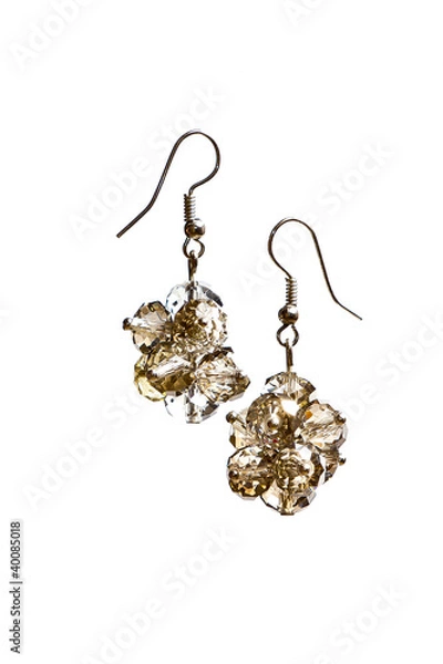 Obraz Shining earrings