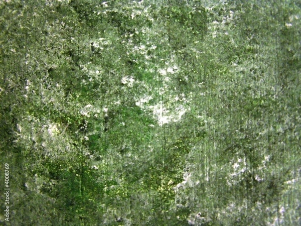 Obraz Green Background