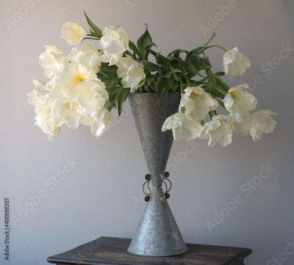 Obraz ウィンターパロット