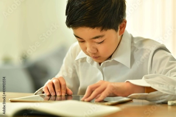 Obraz パソコン・PCで勉強する男の子
