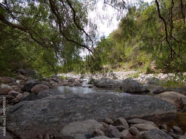 Obraz Arroyo, rocas y árboles